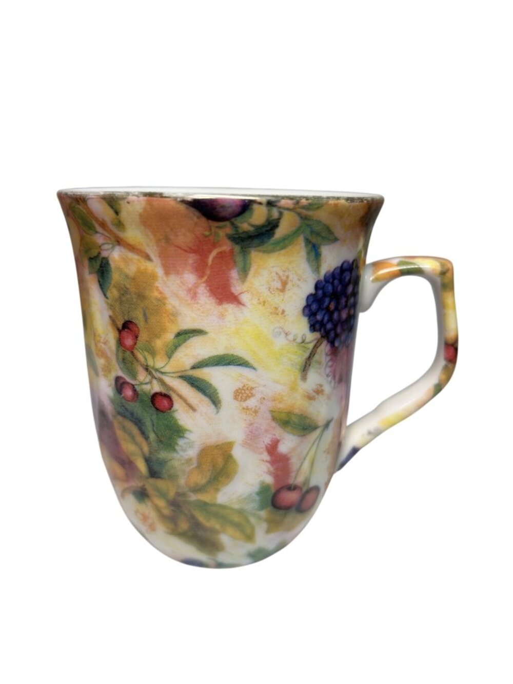 A Special Place Ceramic Mug With Colorful Fruit Design 4-Inch Height Hand Wash